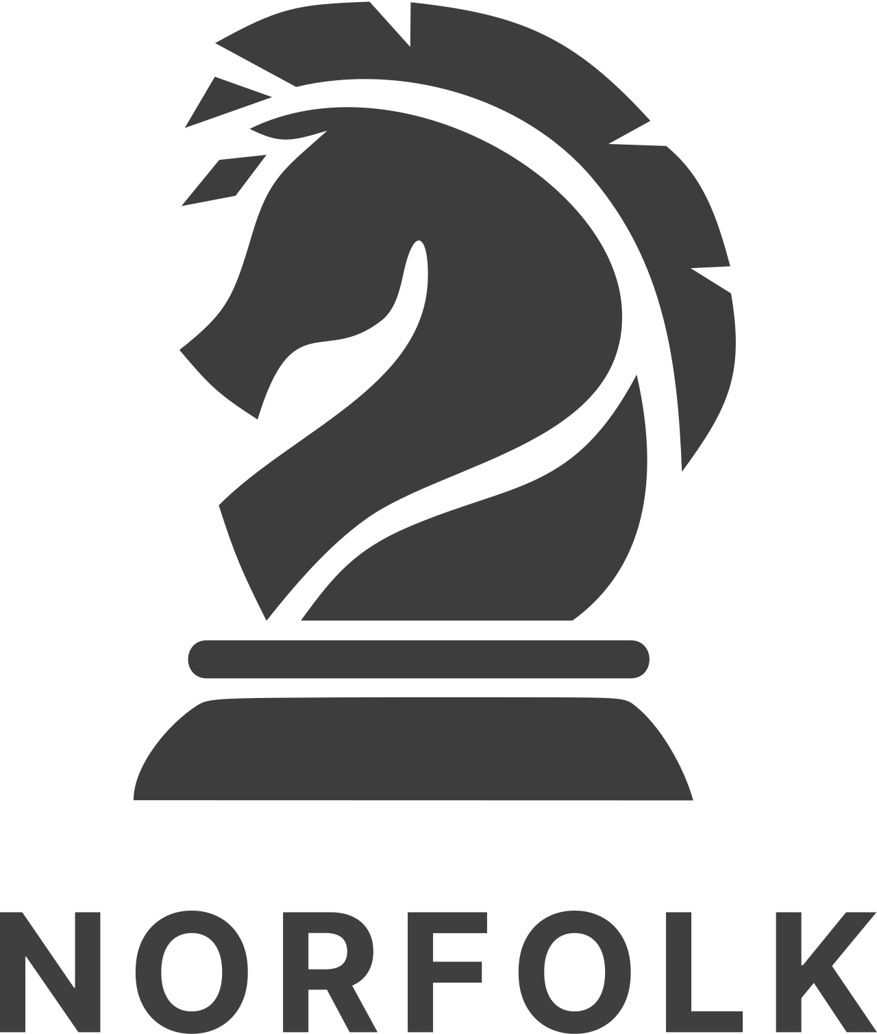 norfolk consulting group logo
